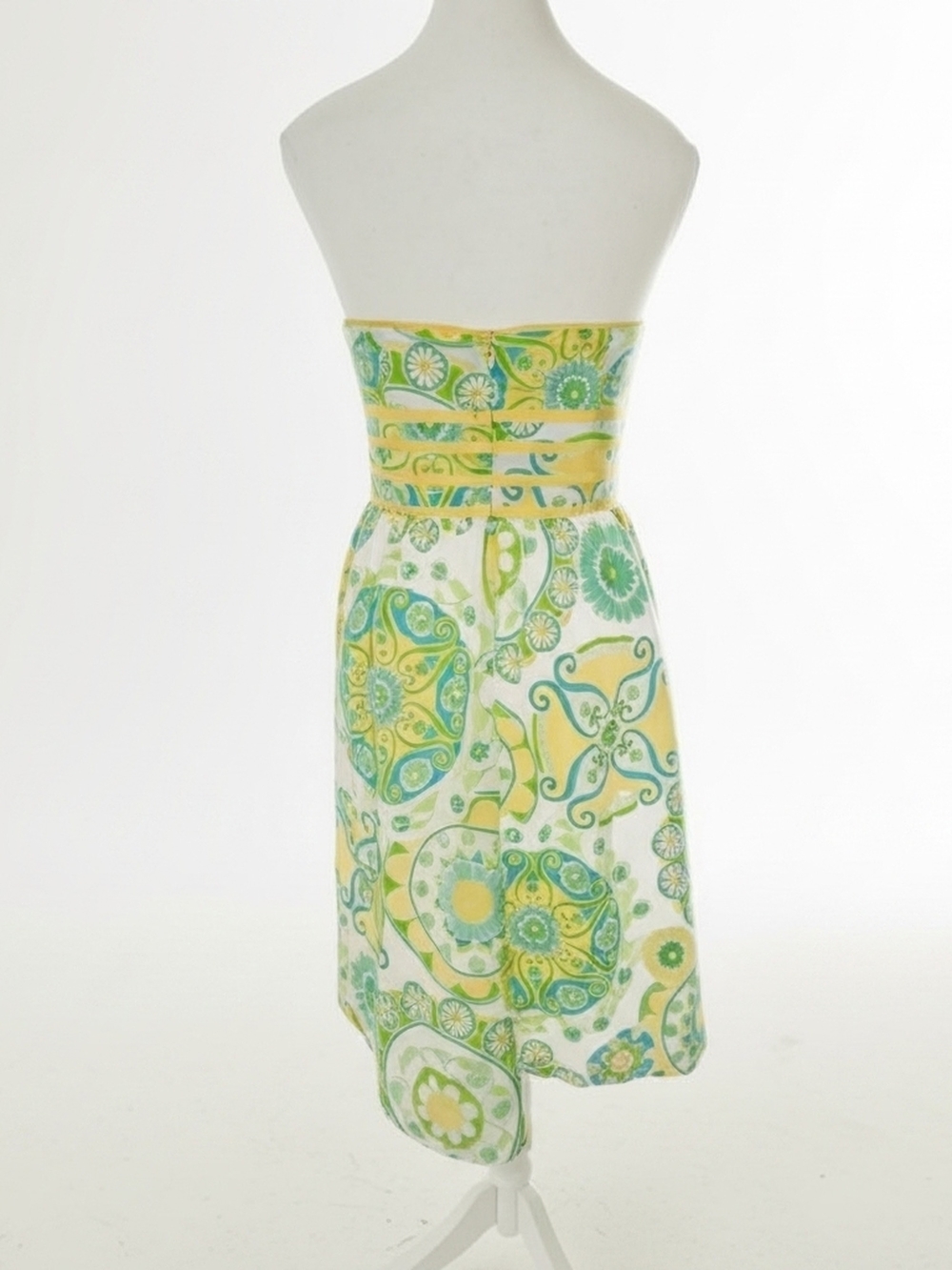 Lilly Pulitzer Katrina Dress White Label Fountain of Youth Cottagecore  Size 4 - Picture 4 of 14